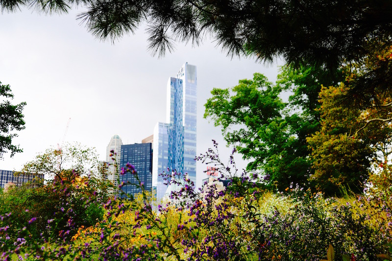 Central Park w Nowym Jorku